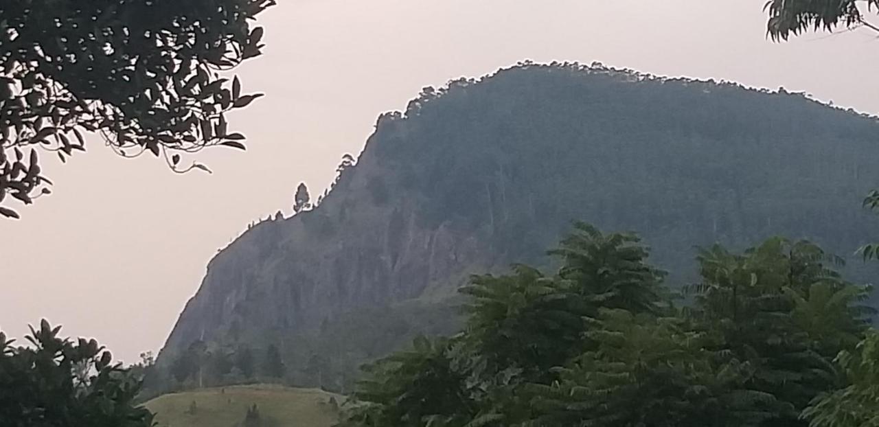 Mature Home Элла Экстерьер фото